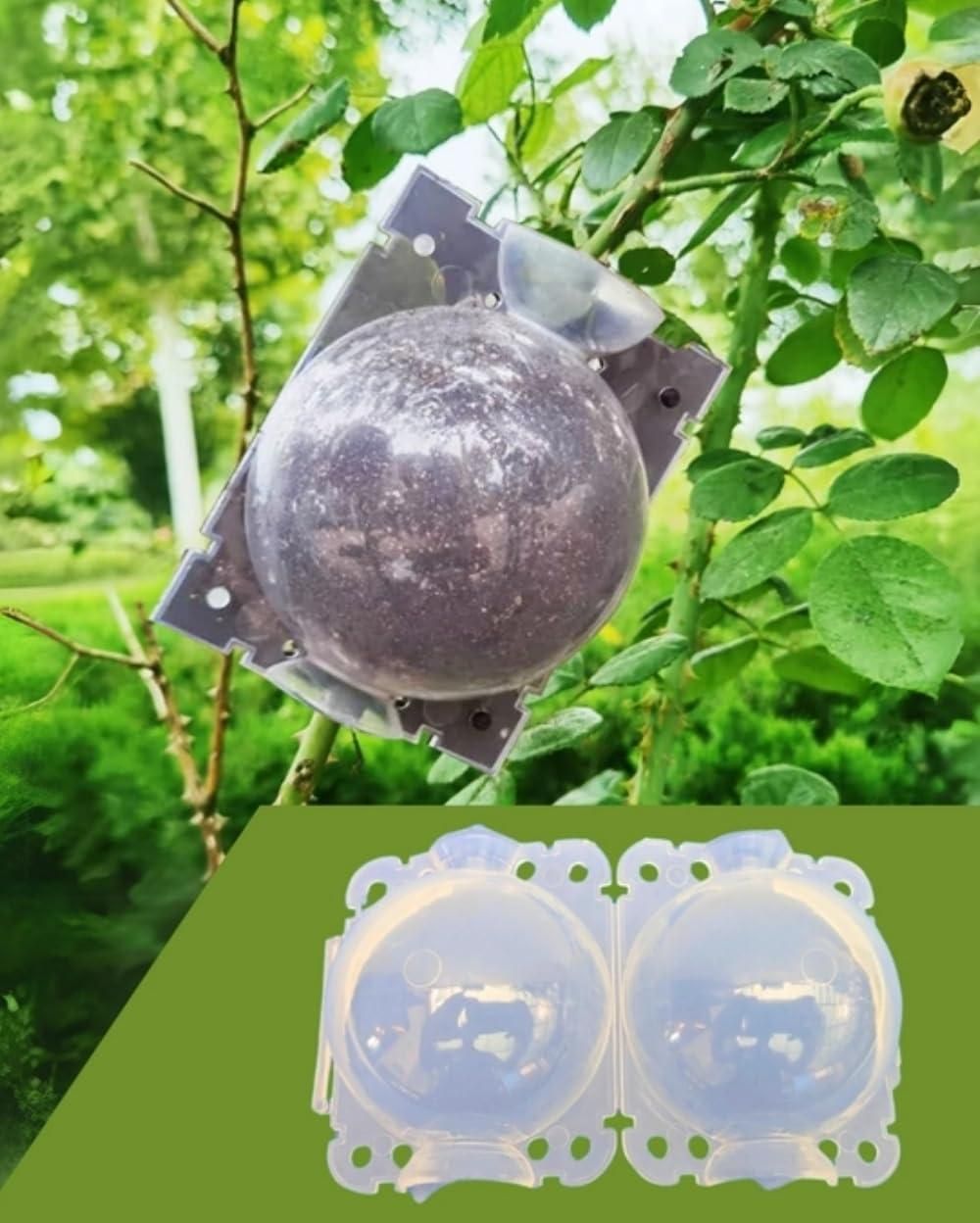 Reusable Plant Root Growth Balls with Locks (Pack of 5)