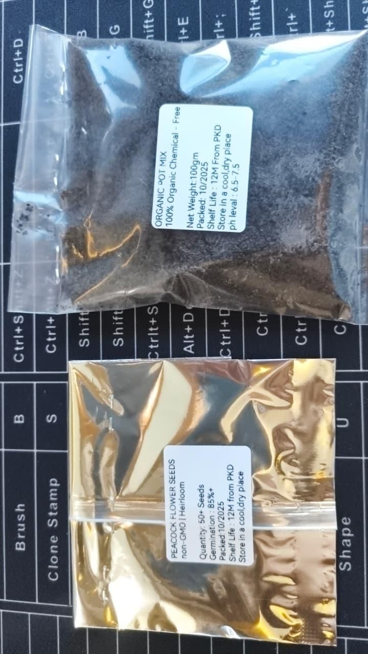 Peacock Flower Seeds
