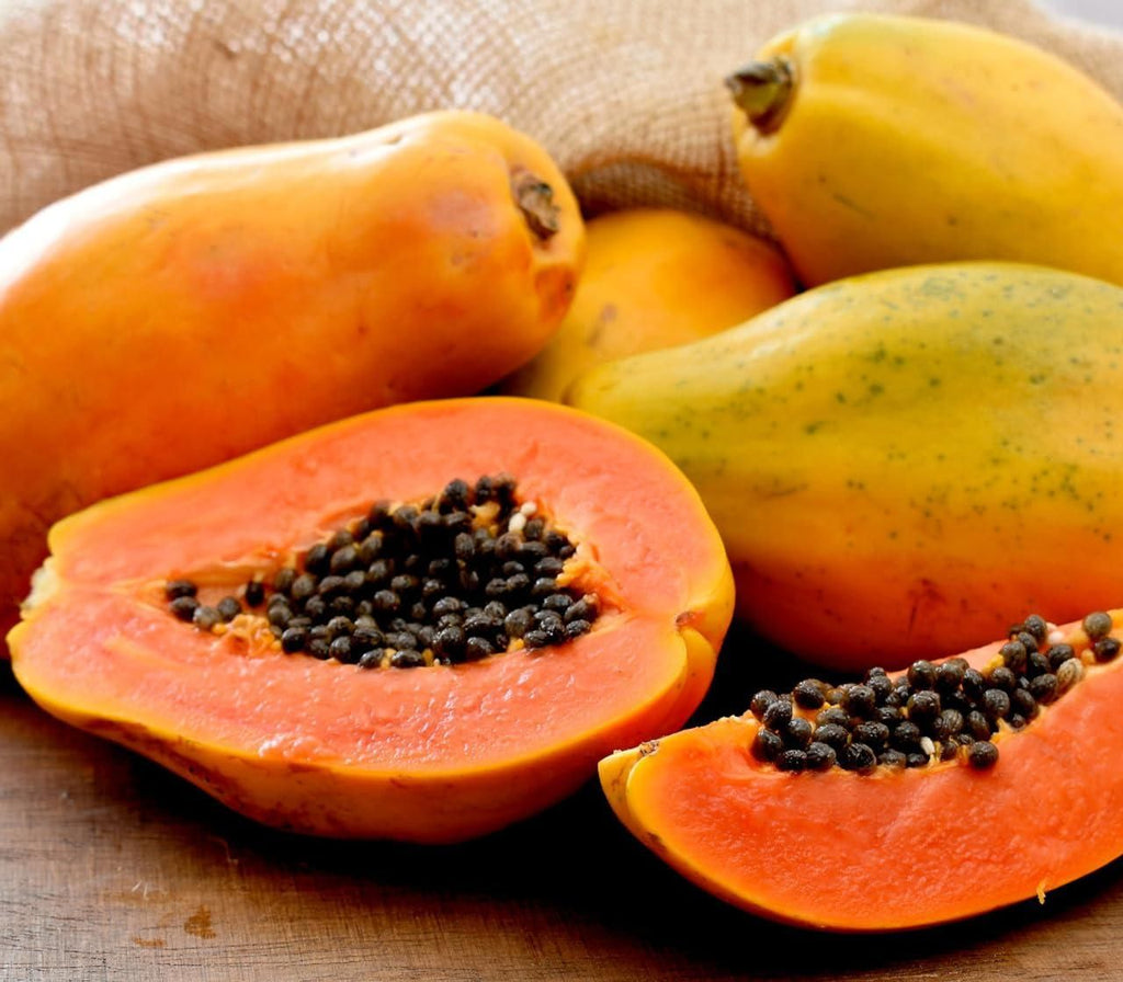Hybrid Dwarf Papaya Seeds and Free Plant Growth Serum